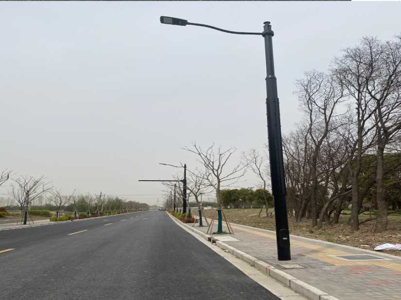 西盟佤族自治县上海综合杆 太阳能路灯工程